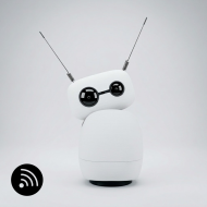Reachy Mini Wireless